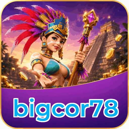 bigcor78 Version Comparison
